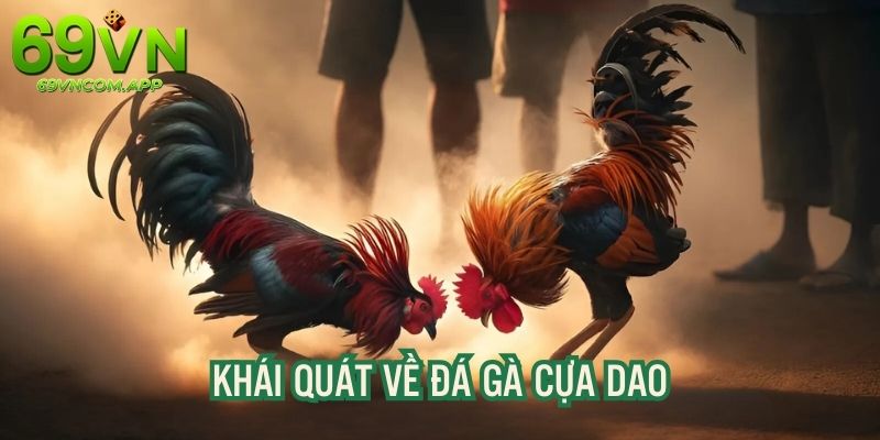 Khái quát sơ lược về đá gà cựa dao tại website 69VN